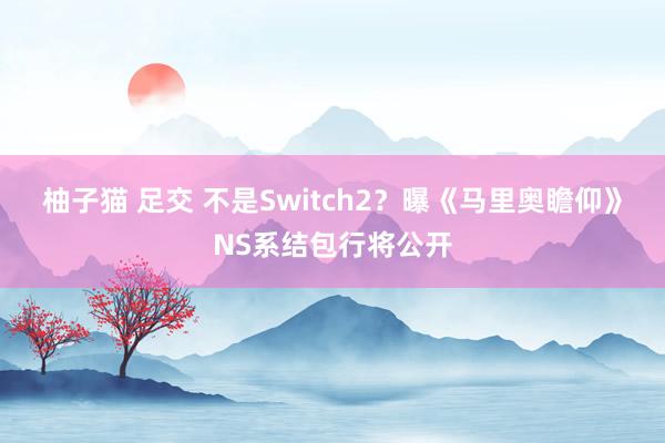 柚子猫 足交 不是Switch2？曝《马里奥瞻仰》NS系结包行将公开