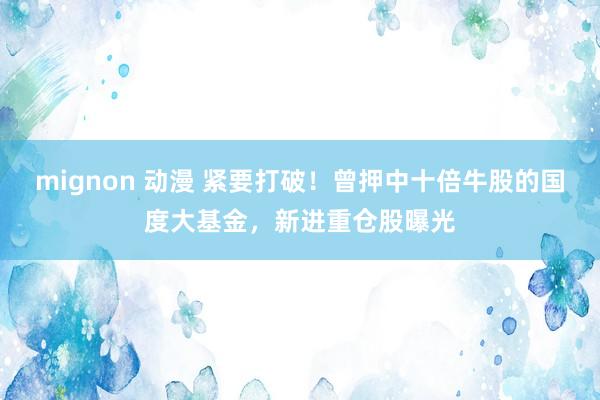 mignon 动漫 紧要打破！曾押中十倍牛股的国度大基金，新进重仓股曝光