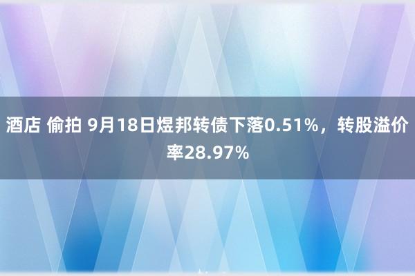 酒店 偷拍 9月18日煜邦转债下落0.51%，转股溢价率28.97%