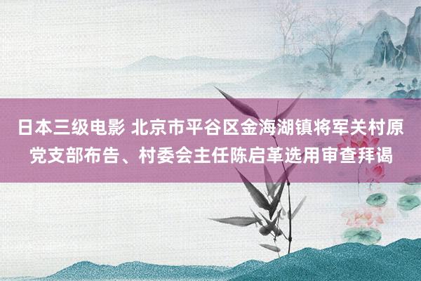 日本三级电影 北京市平谷区金海湖镇将军关村原党支部布告、村委会主任陈启革选用审查拜谒