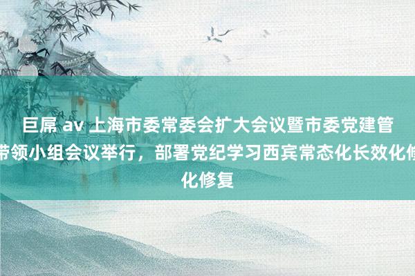 巨屌 av 上海市委常委会扩大会议暨市委党建管事带领小组会议举行，部署党纪学习西宾常态化长效化修复