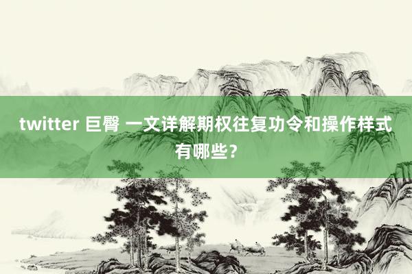 twitter 巨臀 一文详解期权往复功令和操作样式有哪些？