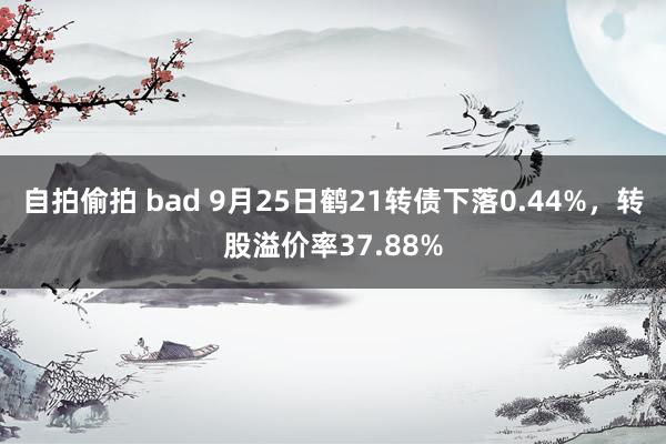 自拍偷拍 bad 9月25日鹤21转债下落0.44%，转股溢价率37.88%