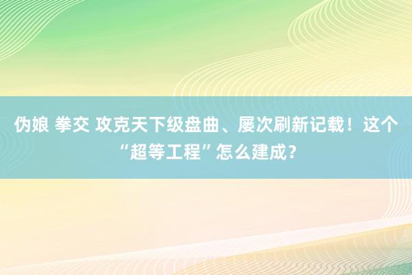 伪娘 拳交 攻克天下级盘曲、屡次刷新记载！这个“超等工程”怎么建成？