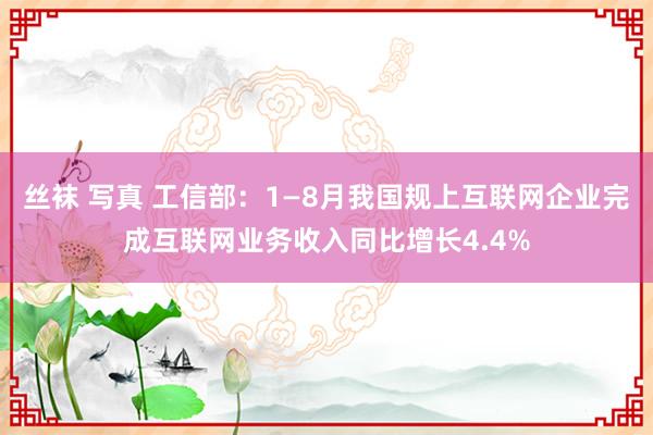 丝袜 写真 工信部：1—8月我国规上互联网企业完成互联网业务收入同比增长4.4%