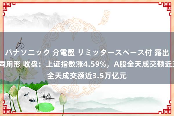 パナソニック 分電盤 リミッタースペース付 露出・半埋込両用形 收盘：上证指数涨4.59%，A股全天成交额近3.5万亿元