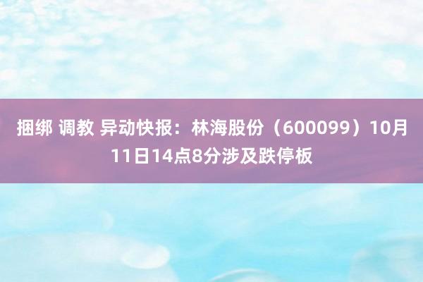 捆绑 调教 异动快报：林海股份（600099）10月11日14点8分涉及跌停板