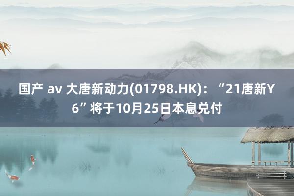 国产 av 大唐新动力(01798.HK)：“21唐新Y6”将于10月25日本息兑付