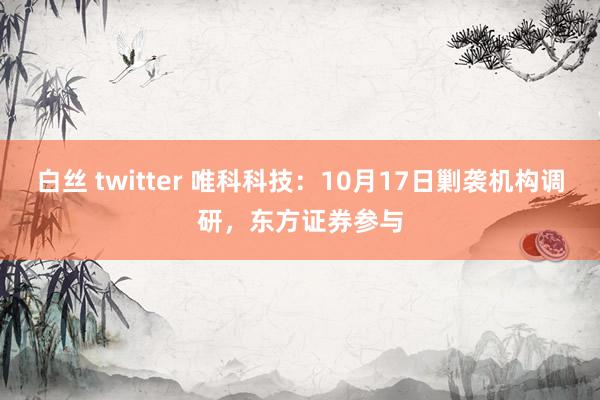 白丝 twitter 唯科科技：10月17日剿袭机构调研，东方证券参与