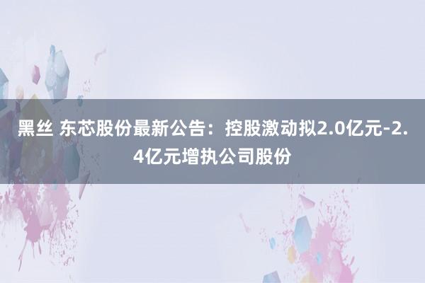 黑丝 东芯股份最新公告：控股激动拟2.0亿元-2.4亿元增执公司股份