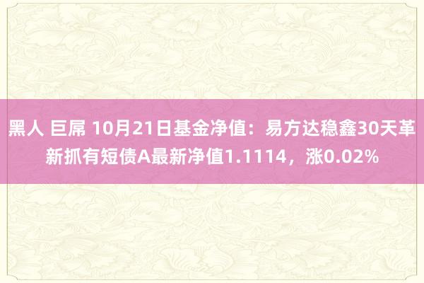 黑人 巨屌 10月21日基金净值：易方达稳鑫30天革新抓有短债A最新净值1.1114，涨0.02%