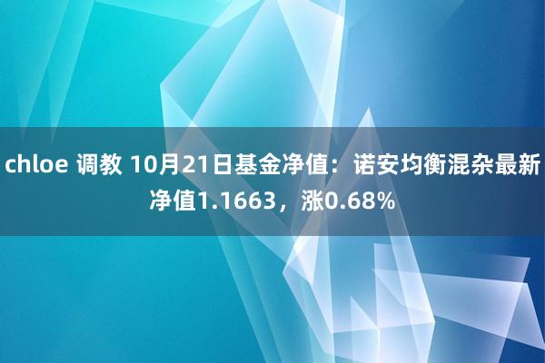 chloe 调教 10月21日基金净值：诺安均衡混杂最新净值1.1663，涨0.68%