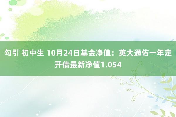 勾引 初中生 10月24日基金净值：英大通佑一年定开债最新净值1.054