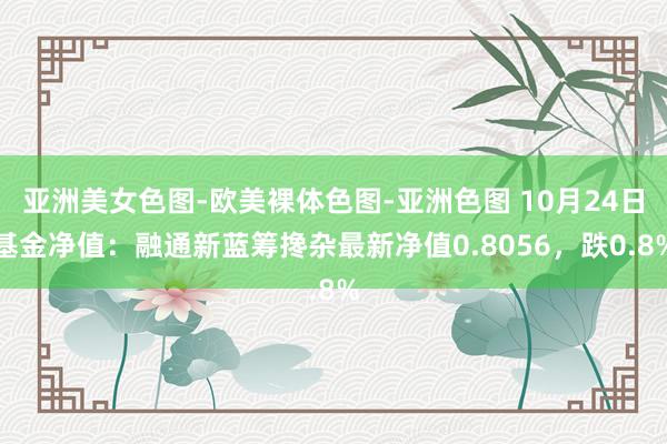 亚洲美女色图-欧美裸体色图-亚洲色图 10月24日基金净值：融通新蓝筹搀杂最新净值0.8056，跌0.8%