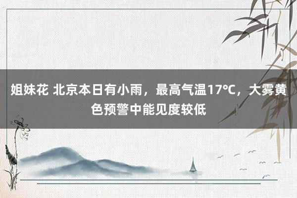 姐妹花 北京本日有小雨，最高气温17℃，大雾黄色预警中能见度较低