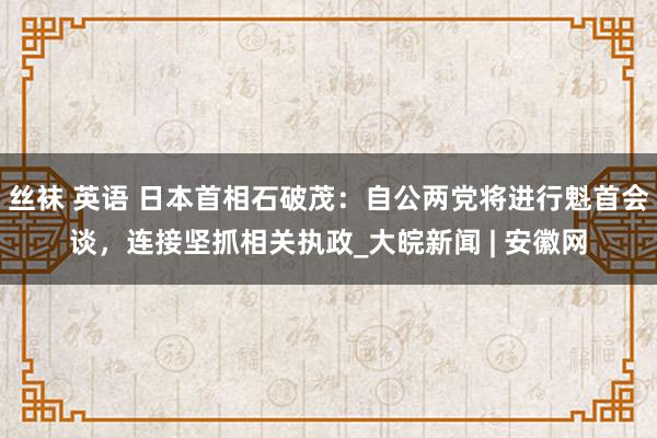 丝袜 英语 日本首相石破茂：自公两党将进行魁首会谈，连接坚抓相关执政_大皖新闻 | 安徽网