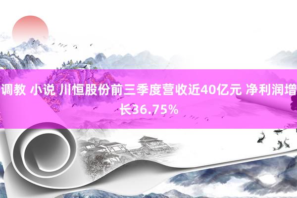 调教 小说 川恒股份前三季度营收近40亿元 净利润增长36.75%