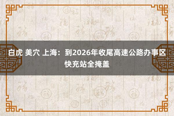 白虎 美穴 上海：到2026年收尾高速公路办事区快充站全掩盖