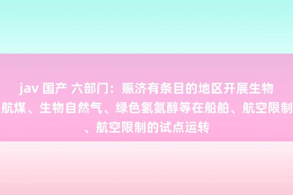 jav 国产 六部门：赈济有条目的地区开展生物柴油、生物航煤、生物自然气、绿色氢氨醇等在船舶、航空限制的试点运转