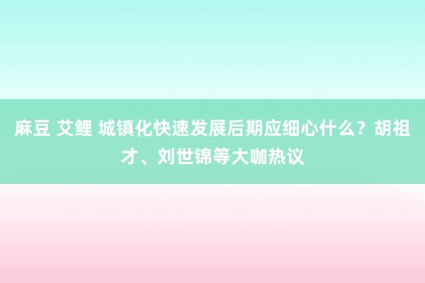 麻豆 艾鲤 城镇化快速发展后期应细心什么？胡祖才、刘世锦等大咖热议