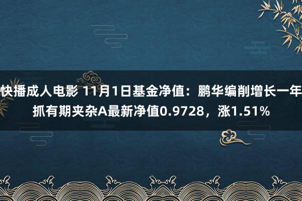 快播成人电影 11月1日基金净值：鹏华编削增长一年抓有期夹杂A最新净值0.9728，涨1.51%