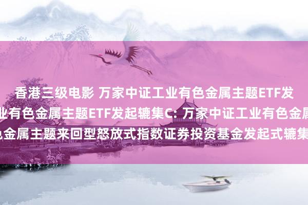 香港三级电影 万家中证工业有色金属主题ETF发起辘集A，万家中证工业有色金属主题ETF发起辘集C: 万家中证工业有色金属主题来回型怒放式指数证券投资基金发起式辘集基金基金司理变更公告