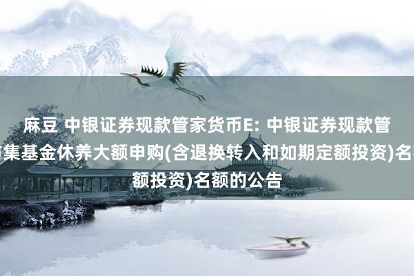 麻豆 中银证券现款管家货币E: 中银证券现款管家货币市集基金休养大额申购(含退换转入和如期定额投资)名额的公告