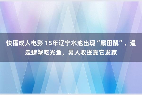 快播成人电影 15年辽宁水池出现“麝田鼠”，逼走螃蟹吃光鱼，男人收拢靠它发家