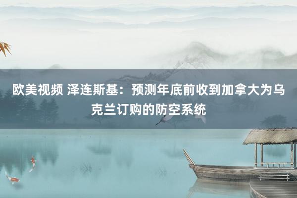 欧美视频 泽连斯基：预测年底前收到加拿大为乌克兰订购的防空系统