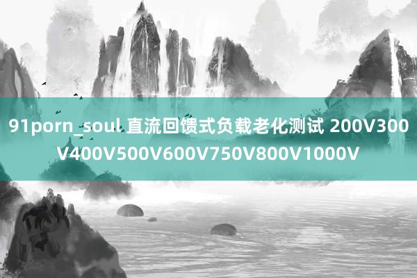 91porn_soul 直流回馈式负载老化测试 200V300V400V500V600V750V800V1000V