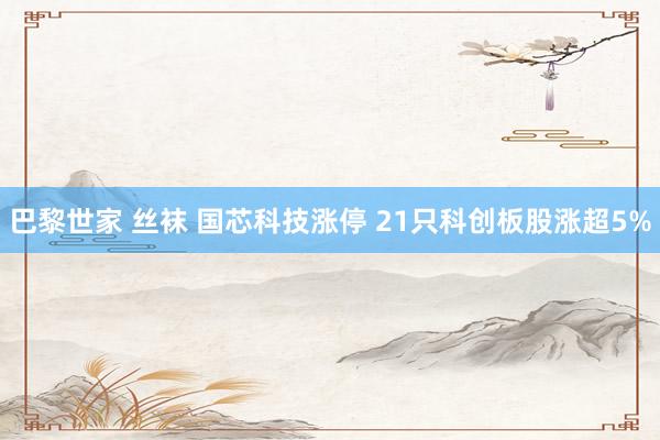 巴黎世家 丝袜 国芯科技涨停 21只科创板股涨超5%