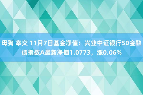 母狗 拳交 11月7日基金净值：兴业中证银行50金融债指数A最新净值1.0773，涨0.06%