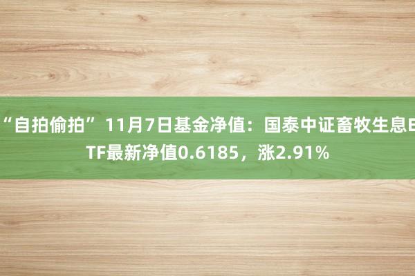 “自拍偷拍” 11月7日基金净值：国泰中证畜牧生息ETF最新净值0.6185，涨2.91%