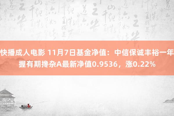 快播成人电影 11月7日基金净值：中信保诚丰裕一年握有期搀杂A最新净值0.9536，涨0.22%