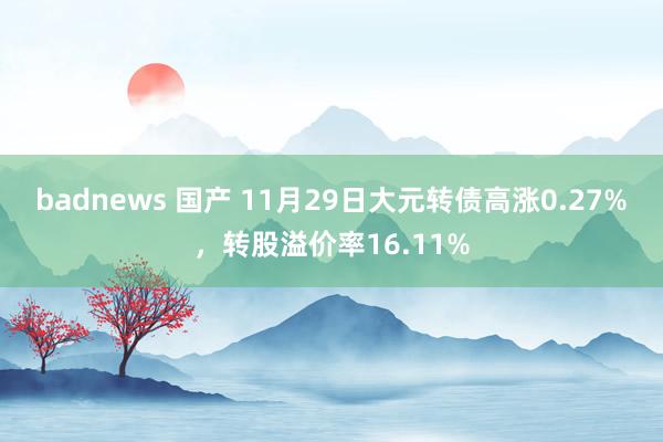 badnews 国产 11月29日大元转债高涨0.27%，转股溢价率16.11%