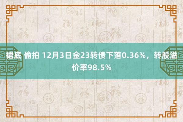 裙底 偷拍 12月3日金23转债下落0.36%，转股溢价率98.5%