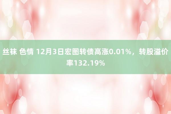 丝袜 色情 12月3日宏图转债高涨0.01%，转股溢价率132.19%