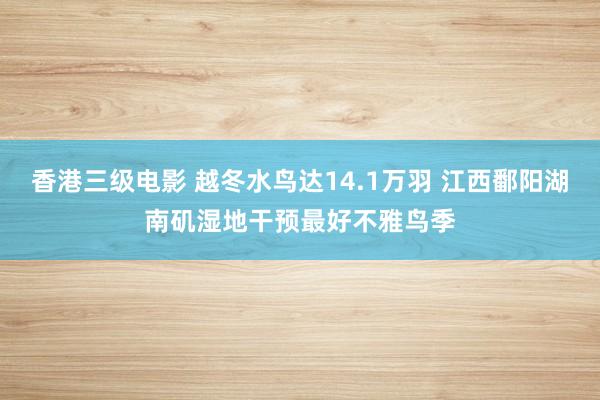 香港三级电影 越冬水鸟达14.1万羽 江西鄱阳湖南矶湿地干预最好不雅鸟季