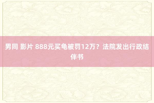 男同 影片 888元买龟被罚12万？法院发出行政结伴书