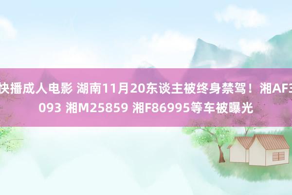 快播成人电影 湖南11月20东谈主被终身禁驾！湘AF3093 湘M25859 湘F86995等车被曝光