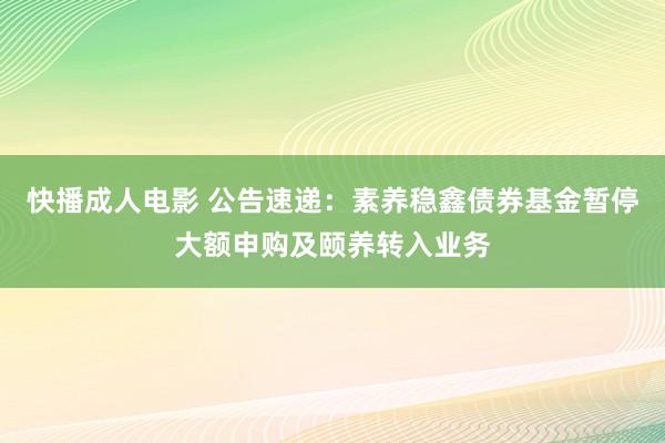 快播成人电影 公告速递：素养稳鑫债券基金暂停大额申购及颐养转入业务