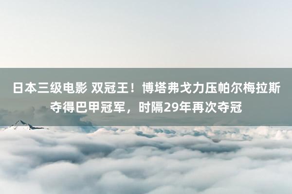 日本三级电影 双冠王！博塔弗戈力压帕尔梅拉斯夺得巴甲冠军，时隔29年再次夺冠