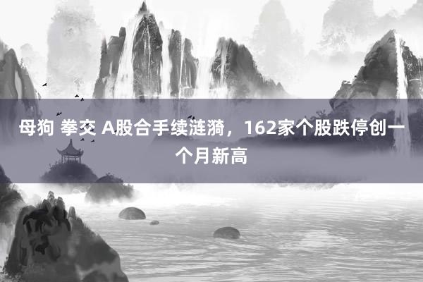 母狗 拳交 A股合手续涟漪，162家个股跌停创一个月新高