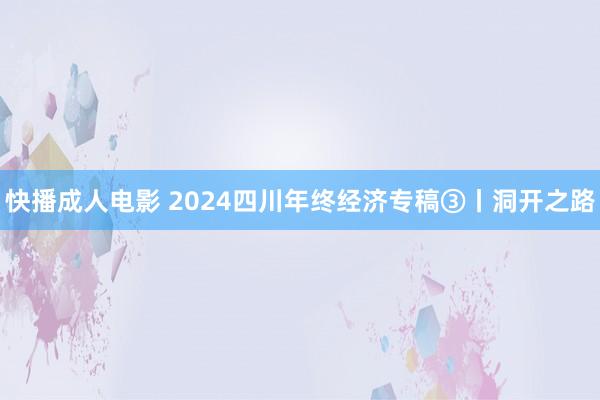 快播成人电影 2024四川年终经济专稿③丨洞开之路