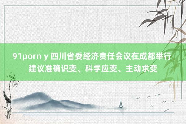 91porn y 四川省委经济责任会议在成都举行 建议准确识变、科学应变、主动求变