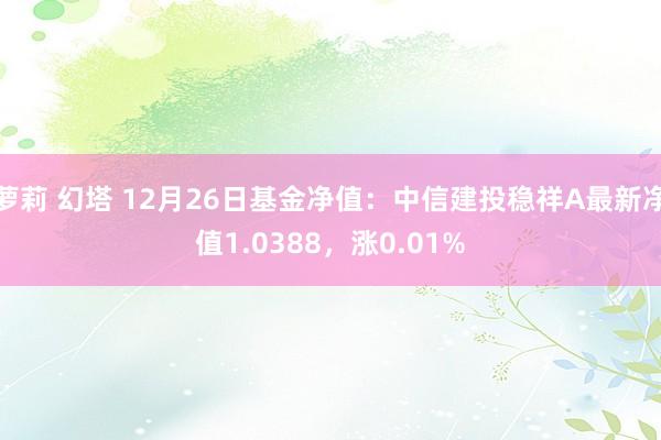 萝莉 幻塔 12月26日基金净值：中信建投稳祥A最新净值1.0388，涨0.01%