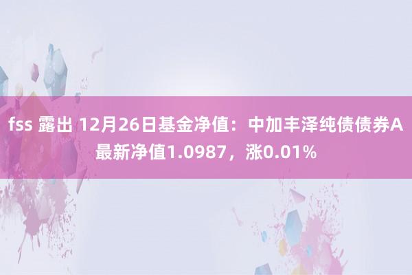 fss 露出 12月26日基金净值：中加丰泽纯债债券A最新净值1.0987，涨0.01%