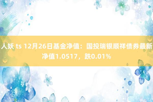 人妖 ts 12月26日基金净值：国投瑞银顺祥债券最新净值1.0517，跌0.01%