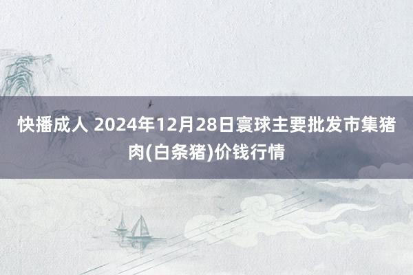 快播成人 2024年12月28日寰球主要批发市集猪肉(白条猪)价钱行情