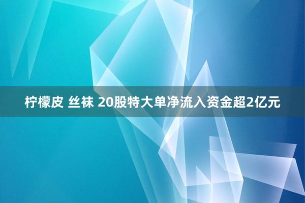 柠檬皮 丝袜 20股特大单净流入资金超2亿元